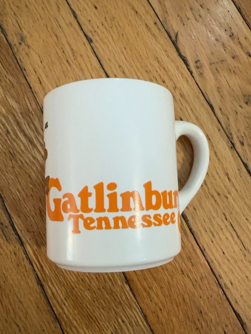 Gatlinburg Tennessee Souvenir Coffee Mug Bear Hillbilly Smoky Mountains Retro